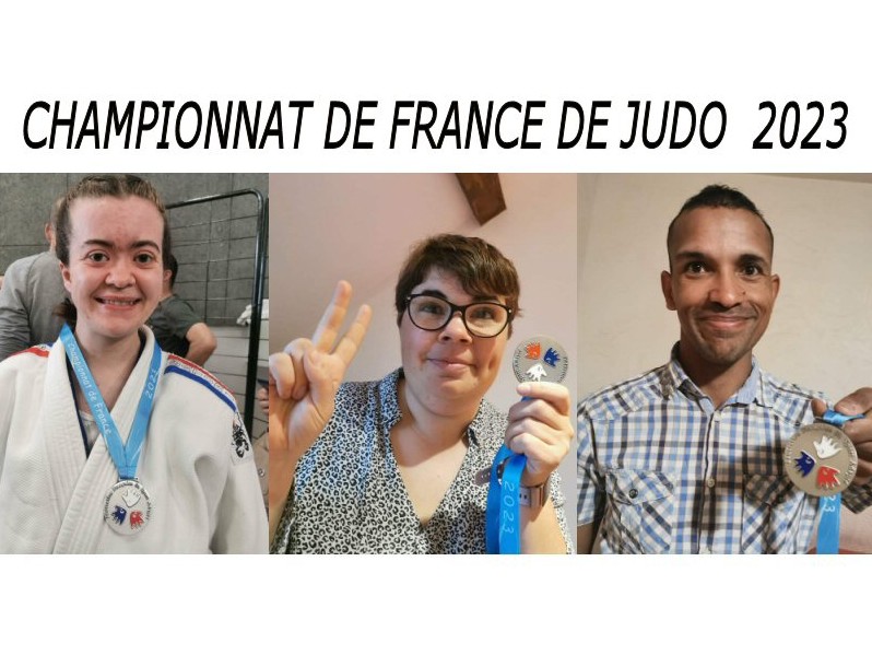 Championnat de france de judo