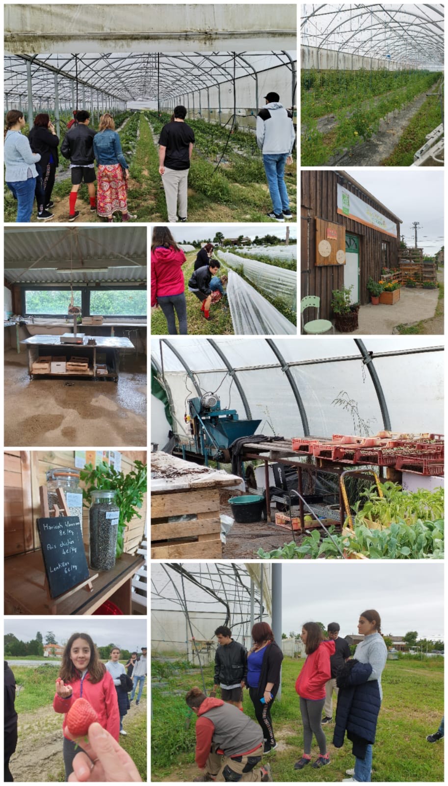 Visite de l'entreprise "Les Jardins de l'Adour"