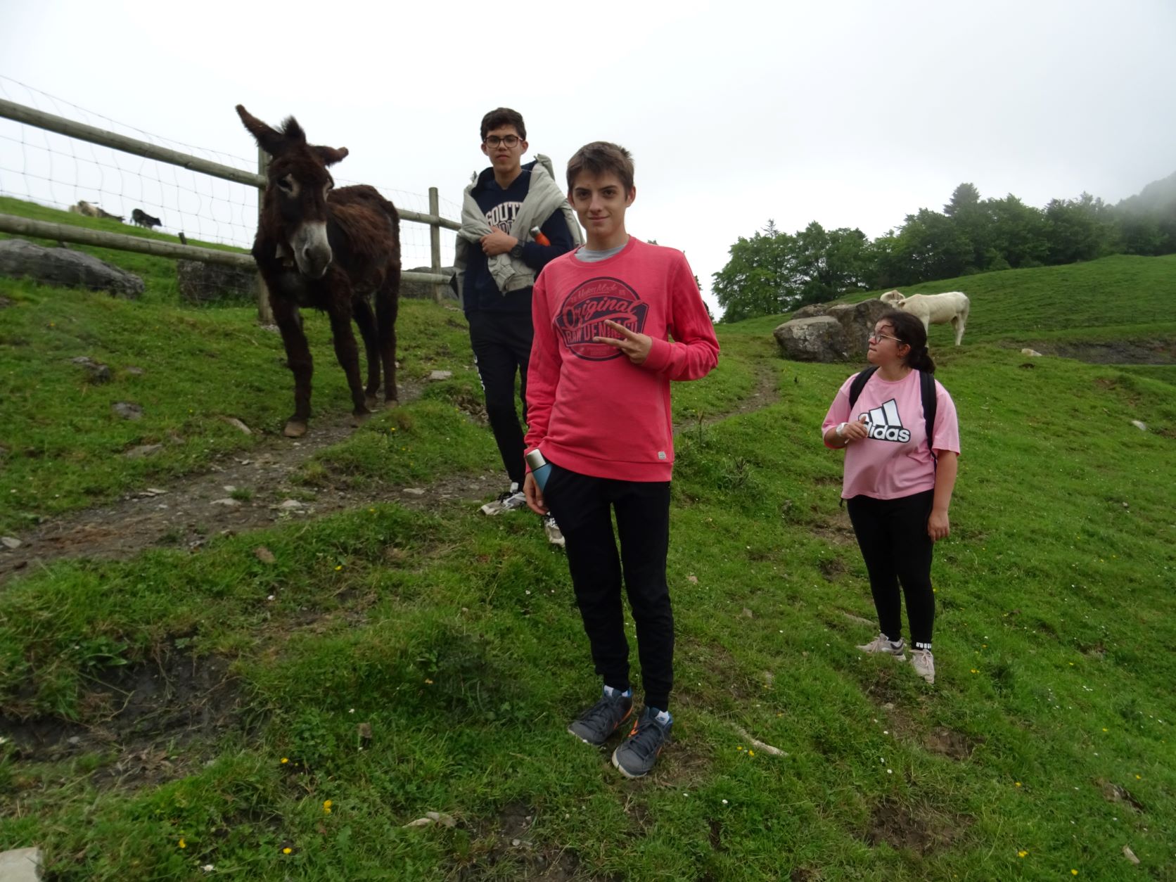 Randonnée Montagne: le sentier du "Pacte des Loups" à ESPARROS (65)